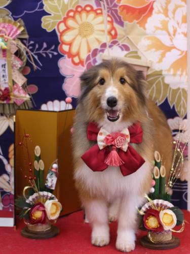 20240128リクくん